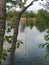 Rope Swing over Boise Cascade Lake