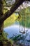 rope swing tied to tree branch, overlooking scenic lake