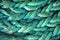 Rope textures on harbor