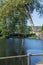 Rope to jump into the water at a tree at the at SÃ¤gmÃ¼hlweiher bathing lake in Ludwigswinkel in Rhineland-Pfalz