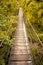 Rope walkway through