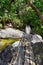 Rope and Wire suspended hanging bridge across a Jungle River in El Eden by Puerto Vallarta Mexico where movies have been filmed