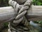 Rope on wooden background