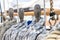 Ropes tied on a ship deck.