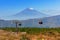 Ropeway to the Mount Fuji, Japan