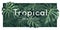 Ropical monstera green leaf banner vector background