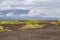 Ropy pahoehoe lava field with shield volcano on Fernandina