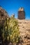 Roque Nublo