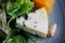 Roquefort cheese cut out with oranges and greens. Appetizer, salads. Healthy food. Restaurand and homemade food.