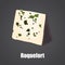 Roquefort cheese slice color flat icon