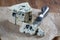 Roquefort soft French cheese made from sheep milk on south of France, one of the world\'s best known blue cheeses with blue mold