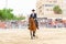 ROQUETAS DE MAR, SPAIN - MAY 21, 2023 Equestrian show at the Plaza de Toros in Roquetas de Mar, Almeria, Spain