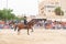 ROQUETAS DE MAR, SPAIN - MAY 21, 2023 Equestrian show at the Plaza de Toros in Roquetas de Mar, Almeria, Spain