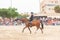 ROQUETAS DE MAR, SPAIN - MAY 21, 2023 Equestrian show at the Plaza de Toros in Roquetas de Mar, Almeria, Spain