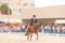 ROQUETAS DE MAR, SPAIN - MAY 21, 2023 Equestrian show at the Plaza de Toros in Roquetas de Mar, Almeria, Spain