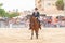 ROQUETAS DE MAR, SPAIN - MAY 21, 2023 Equestrian show at the Plaza de Toros in Roquetas de Mar, Almeria, Spain