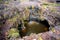 Roraima Tepui Top sinkhole