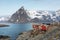 Rorbu cottages, Lofoten, Norway