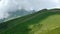 Rosa Khutor, mountains, cows. Summer.