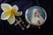 Rosary beads with Jesus Christ holy cross crucifix and portrait of Mother Virgin Marry on rosary box cover with a flower.