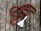 Rosary beads on the wooden background. Rudraksha Mala for Mantras. 108 beads.