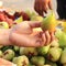 Rose apples or green chomphu