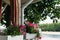 A rose arbor and picket fence in a country garden