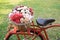 Rose artificial flowers in vintage bicycle