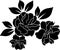 Rose black and white wallpaper or textile clean floral design