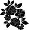 Rose black and white wallpaper or textile clean floral design