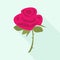 Rose bouquet icon