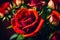 rose bouquet red flowers plants holidays valentines day image illustration image real details table blurred background