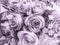 Rose bouquet , violet image color