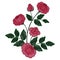 Rose Branch Embroidery