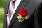 Rose in a buttonhole of the groom