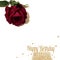 Rose card background love romance abstract Happy birthday card