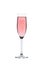 Rose champagne glass with reflection