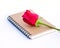 Rose on diary ,Valentine\'s day