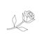 Rose doodle icon. Drawing by hand. Line art. Vector illustration.