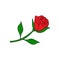 Rose doodle icon. Drawing by hand. Vector illustration.
