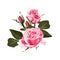 The rose elegant card. A spring decorative bouquet of pink roses flowers.