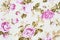 Rose fabric background