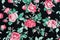 Rose fabric background