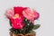 Rose fake flower and Floral background,rose flowers made of fabric,The fabric flowers bouquet,Colorful of decoration artificial