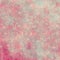 Rose floral shabby chic background pattern