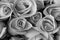 Rose flower bouquet, black and white color