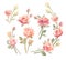 Rose flower bouquets clip art elements, stock illustration. Pink watercolor floral compositions for designing.