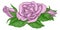 Rose Flower Design Woodcut Vintage Retro Style