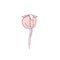 Rose flower fruit rosehip line filled pink color illustration. Hand drawn realistic detailed vector illustration. Black