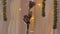 Rose Flower Garland Lamp of Background